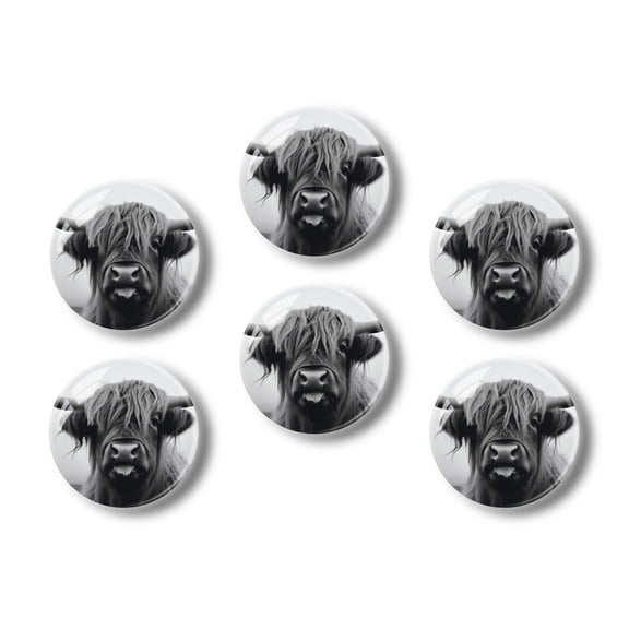 Glass Refrigerator Magnet 6Pcs Magnetic Fridge Sticker,Decor for Kitchen,Whiteboard,Cabinet,Scottish Highland Cow With Long Hair
