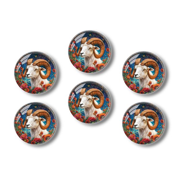 Glass Refrigerator Magnet 6Pcs Magnetic Fridge Sticker,Decor for Kitchen,Whiteboard,Cabinet,Zodiac Sign Of Aries