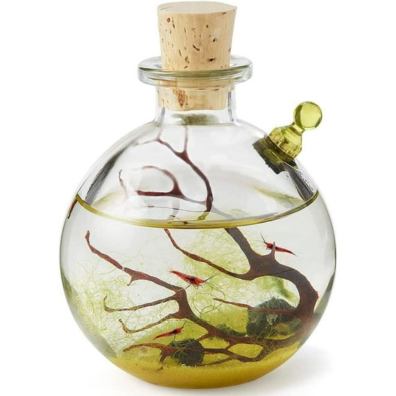 Image showcasing 12 YEARS Living Off-Grid on a Sustainable Homestead in a Self-Built Cob ...