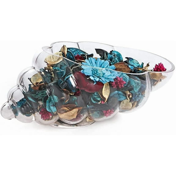 Glass Shell Vase, 10-Inch Seashell Potpourri Holder, Decorative Conch Bowl for Shell Collection Display, Sea Glass, Air Plant