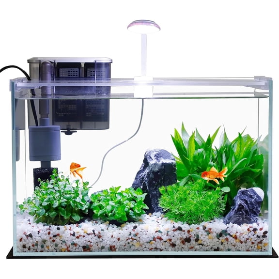 Glass Small Fish Tank, Betta Fish Tank Starter Kit with Filter, Lights,Lid.