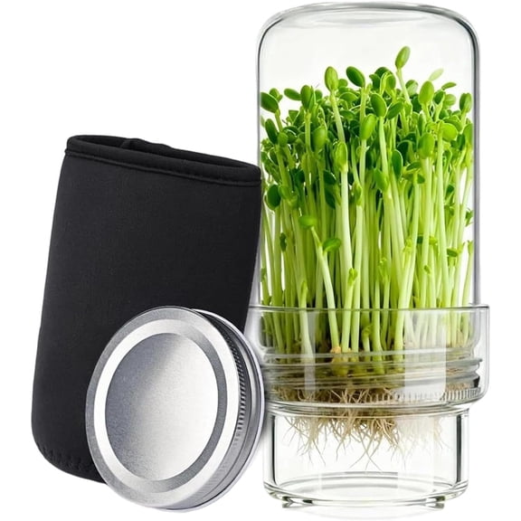 Glass Sprouting Jar Kit with Blackout Cover, Filter Tray & Sprout Lids, 26 oz Sprouts Growing Kit for Broccoli Alfalfa Mung Bean Sprouts