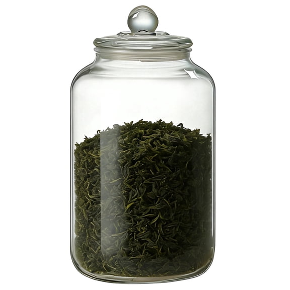 3L Large Glass Storage Jar – Clear Cookie Jar with Airtight Lid & Handle, 5.9" x 10.6", for Pantry Organization, Dry Goods, Pasta & Snacks