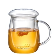 Glass Tea Cup with Infuser and Lid Large Borosilicate Glass Cup with Strainer Clear for Loose Leaf Blooming Bag Cute Mushroom Gift for Women 17oz