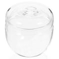 thumbnail image 1 of Glass Tea Jar with Lid Terrarium Storage Jars Portable, 1 of 6