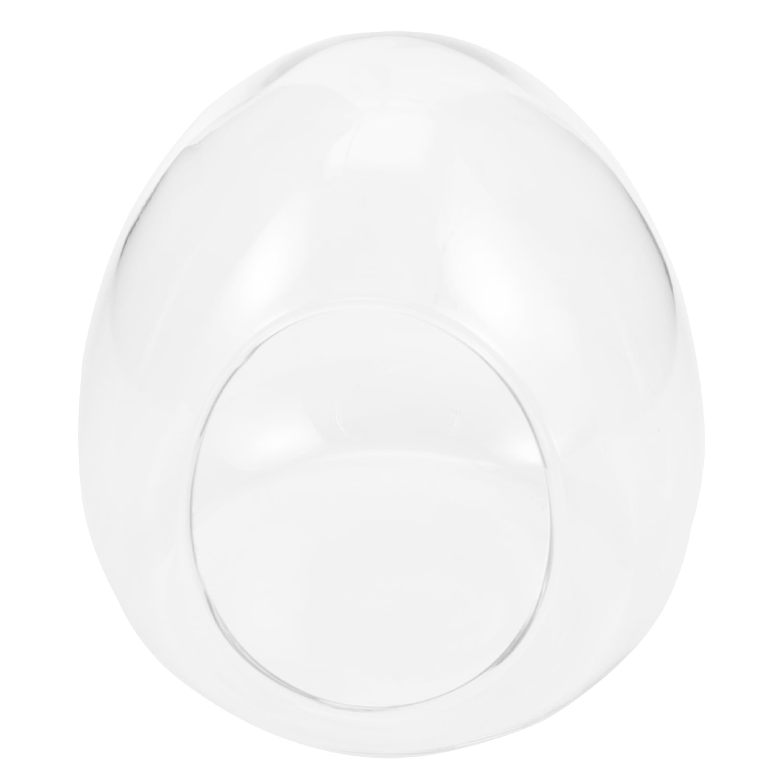 Glass Terrarium Bubble Bowl Globe Egg Shaped Terrarium Glass Globe Tea