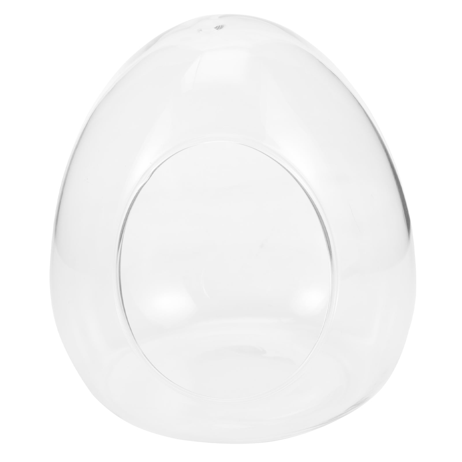 Glass Terrarium Bubble Bowl Globe Egg Shaped Terrarium Glass Globe Tea