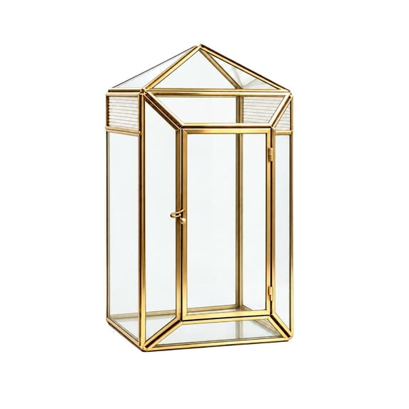 Glass Terrarium Enclosure with Single Front Door for Routine Reptiles Care