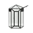 thumbnail image 1 of Glass Terrarium Enclosure with Single Front Door for Routine Reptiles Care, 1 of 16