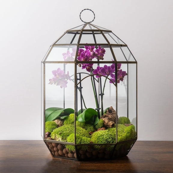 Glass Terrarium  Modern Glass Planter for Indoor Plants, Succulents, Air Plants & DIY Terrarium Kits, 10.6 x 14.5, Solarium