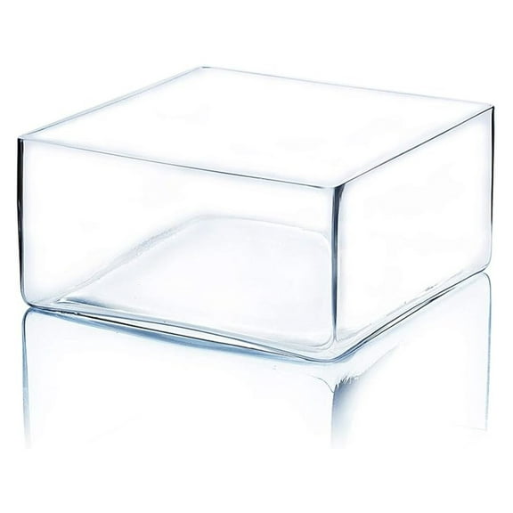 Glass Vase Square Block 8" Length, 4" Height - Clear Planter Terrarium, Floral Container for Wedding, Events, Home Decor - 1 Piece