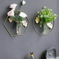 thumbnail image 1 of Glass Wall Hanging Vase for Hydroponic Plants and Flower Display Home Decor, 1 of 2