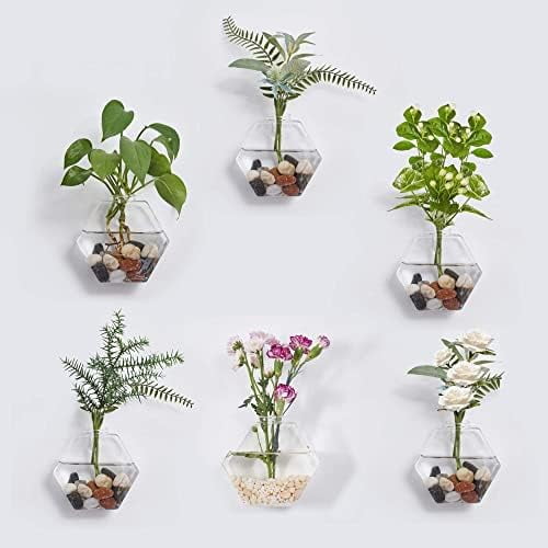 Glass Wall Planters 6PcsTerrarium Hanging Air  Holders Containers for Hydroponics Plants, Succulents, Herbs, Flowers (Hexagon)