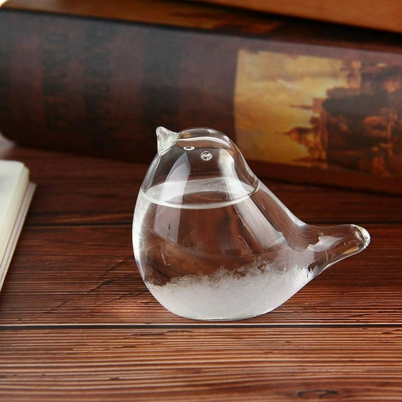 Glass Weather Forecast Storm Bottle,Desktop Decor with Bird Design Crystal Glass Storm Glass for Home Office Decoration Weather Predictor,Storm Glass,Weather Bottle,White,1PC
