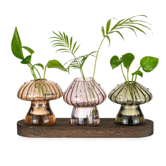 Glasseam Brown Mushroom Glass Vase Set of 3: Unique Hydroponic Planter with Wood Stand Cute Terrarium Jars for Indoor Plants Perfect Home or Office Decor for Plant Lovers Plant Propagation Station
