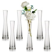Glasseam Glass Bud Vases in Bulk 9.64"Tall Clear Skinny Vases Set of 6 Small Single Flower Vase for Centerpiece