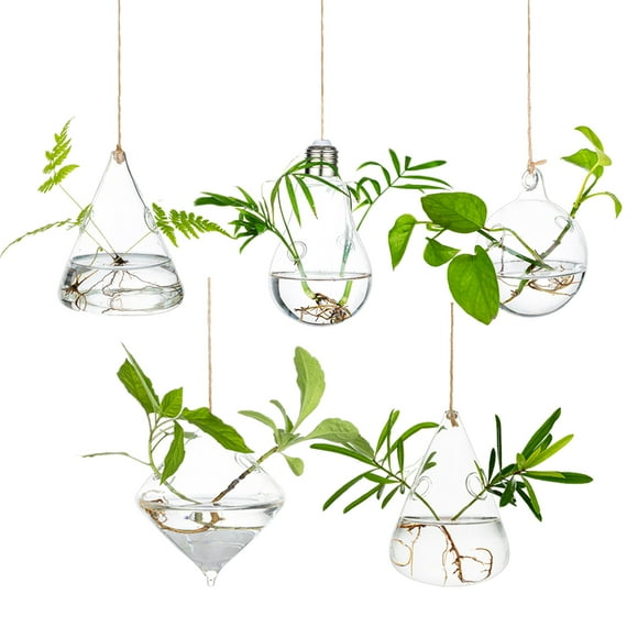Glasseam Hanging Planters Glass Terrarium: 5Pcs Modern Plant Propagation Stations Hydroponic Wall Vases for Air Plants Flowers Indoor Window Home Decor
