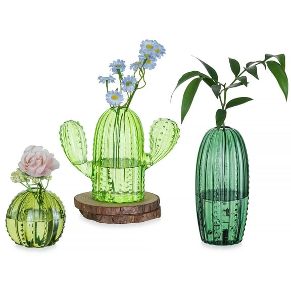 Glasseam Set of 3 Cactus Glass Plant Propagation Stations: Unique Hydroponic Vases for Air Plants Cuttings Home Garden Decor with Stable Base Tall Round Classic Styles