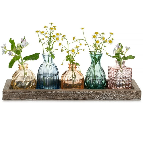 Glasseam Set of 5 Colorful Glass Vase Set with Wooden Tray: Small Bud Vases for Flowers Home Decor Centerpiece Wedding Housewarming Gifts Living Room Office Table