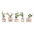 thumbnail image 1 of Glasseam Set of 5 Mini Champagne Glass Bud Vases: Small Modern Centerpiece Decor for Weddings Dining Table Thick Heavy Base Flower Vases for Roses Eucalyptus Tulips, 1 of 6
