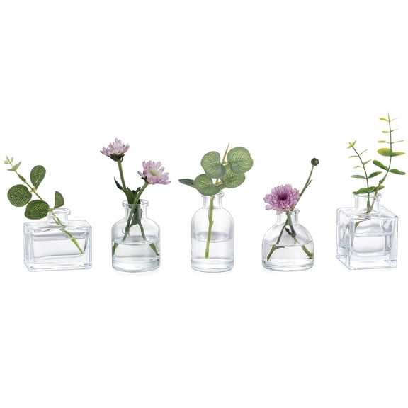 Glasseam Set of 5 Mini Clear Glass Bud Vases: Small Modern Centerpiece Decor for Weddings Dining Table Thick Heavy Base Flower Vases for Roses Eucalyptus Tulips