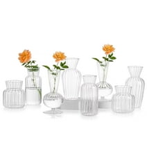 Glasseam Small Bud Vase in Bulk Clear Glass Optical Ribbed Vases for Table Centerpiece Set of 8