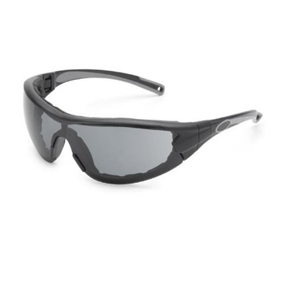 Glasses Safety Anti Fog Gray Lens