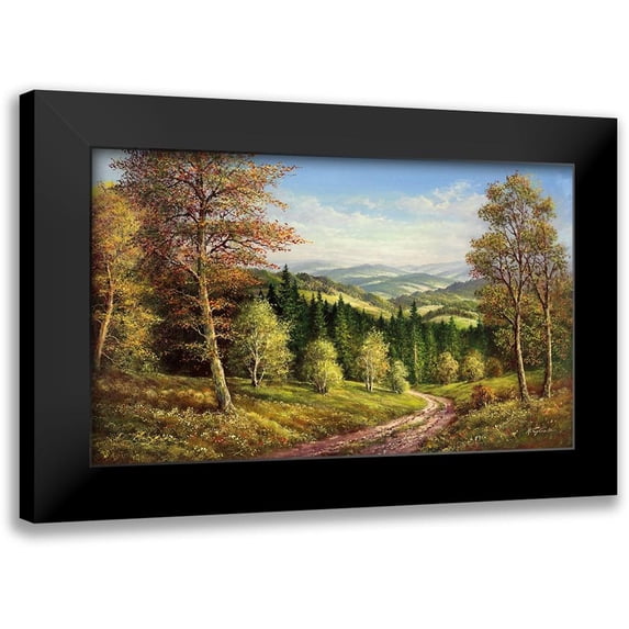 Glassl, Helmut 18x12 Black Modern Framed Museum Art Print Titled - AUGUST SHADOWS