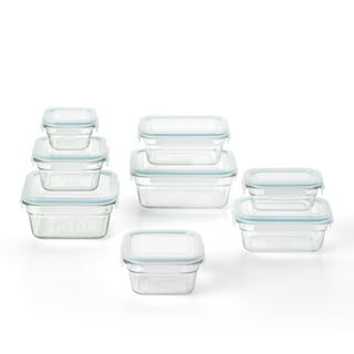 Wellslock 5.2 cups (Pack of 2) Locking Food Storage Containers with Li