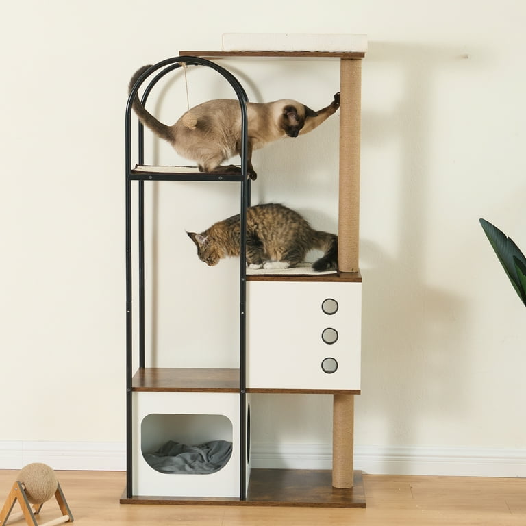 Cat tree company online