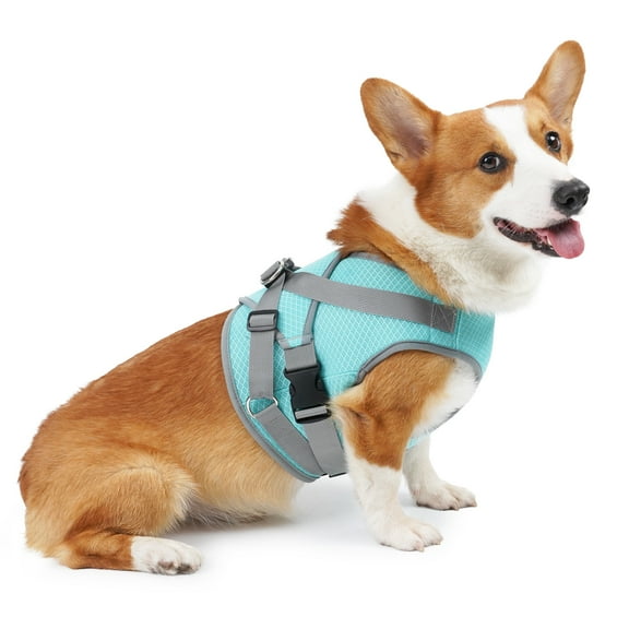 Gleepurr Dog Harness for Small and Medium, Comfortble Mesh Ruffwear Harness with Dual Buckles, Dog Cooling Vest, No-Pull for Dog Outdoor Walks