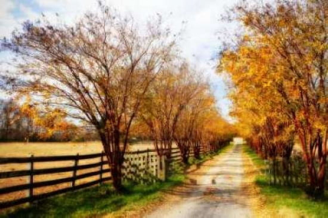 Glen Allen Farm IV Canvas Art - Alan Hausenflock (20 x 28)