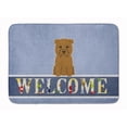 thumbnail image 1 of Glen of Imal Tan Welcome Machine Washable Memory Foam Mat, 1 of 1