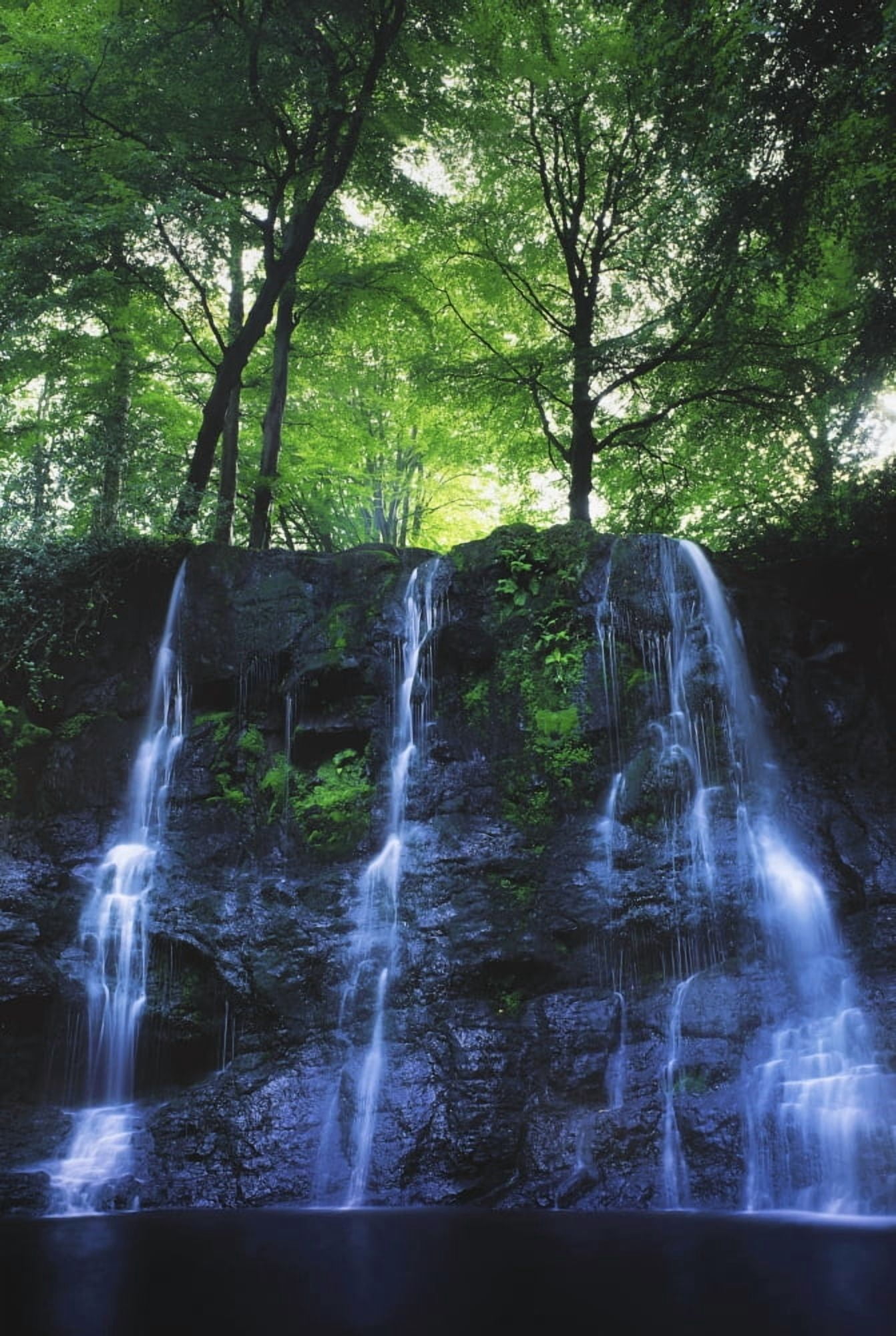 Glenariff Waterfall Co Antrim Ireland Waterfall With Trees Above Canvas Art - The Irish Image Collection Design Pics (12 x 18)