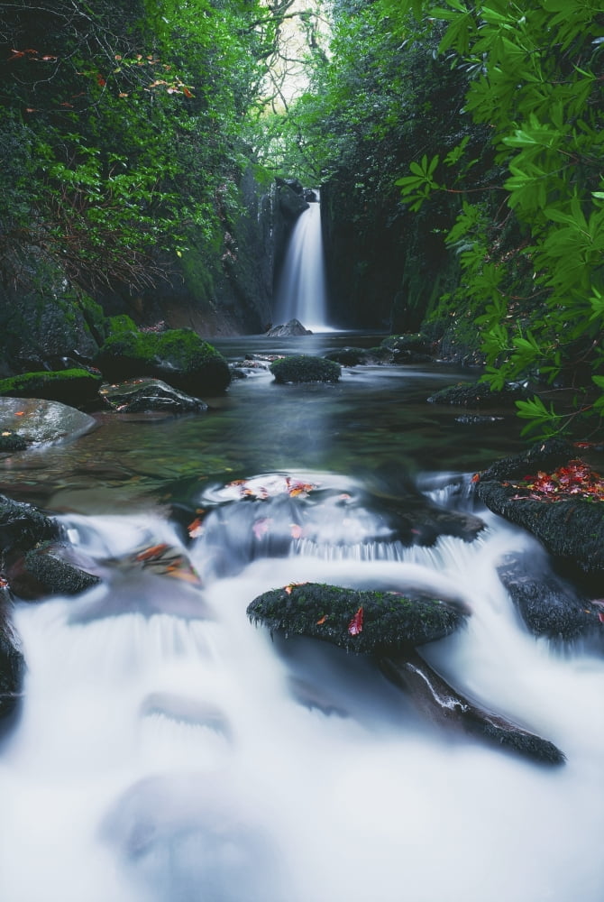 Glencar Co Sligo Ireland Waterfall Canvas Art - The Irish Image Collection Design Pics (24 x 36)