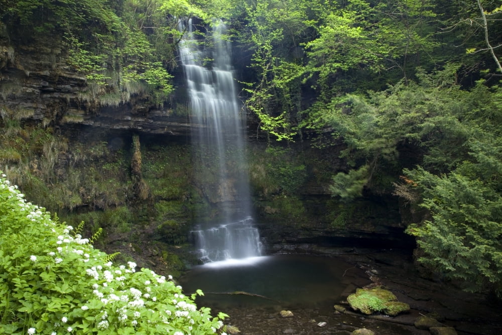 Glencar Waterfall Co Sligo Ireland WB Yeats Made This Waterfall Famous In His Poem The Stolen Child Canvas Art - Gareth McCormack Design Pics (18 x 12)