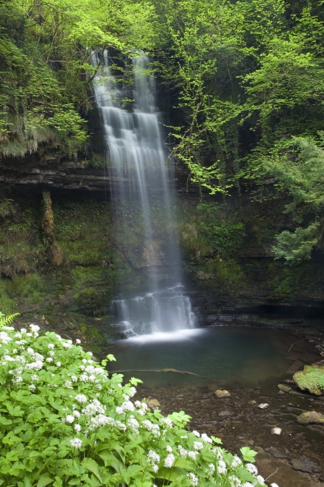 Glencar Waterfall Co Sligo Ireland WB Yeats Made This Waterfall Famous In His Poem The Stolen Child Canvas Art - Gareth McCormack Design Pics (24 x 36)