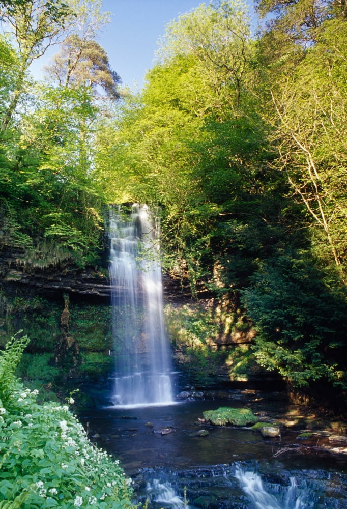 Glencar Waterfall County Sligo Ireland Waterfall And Stream Canvas Art - Gareth McCormack Design Pics (12 x 18)