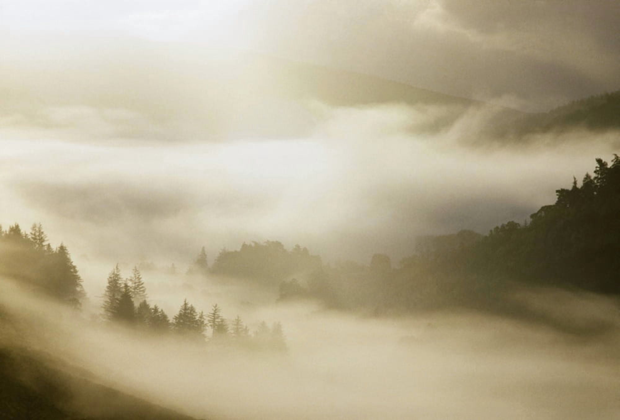 Glendalough Co Wicklow Ireland Mist Canvas Art - The Irish Image Collection Design Pics (18 x 12)