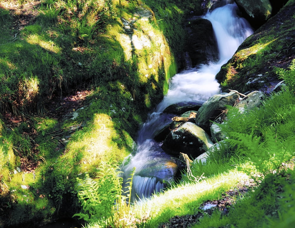 Glendalough Co Wicklow Ireland Waterfall Canvas Art - The Irish Image Collection Design Pics (34 x 26)