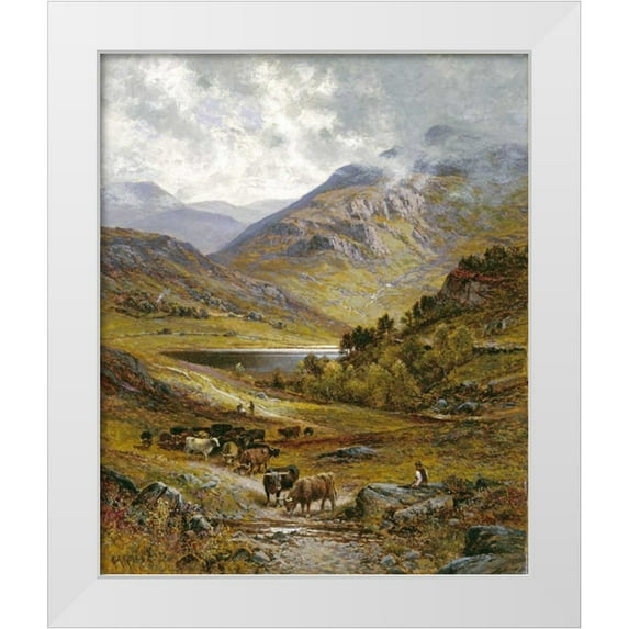 Glendening, Alfred Augustus 20x23 White Modern Wood Framed Museum Art Print Titled - Longhorn Cattle