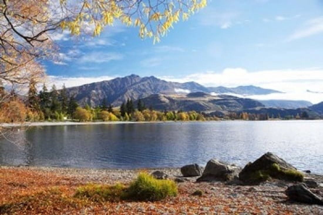 Glendhu Bay Lake Wanaka Otago South Island New Zealand Canvas Art - David Wall DanitaDelimont (17 x 11)