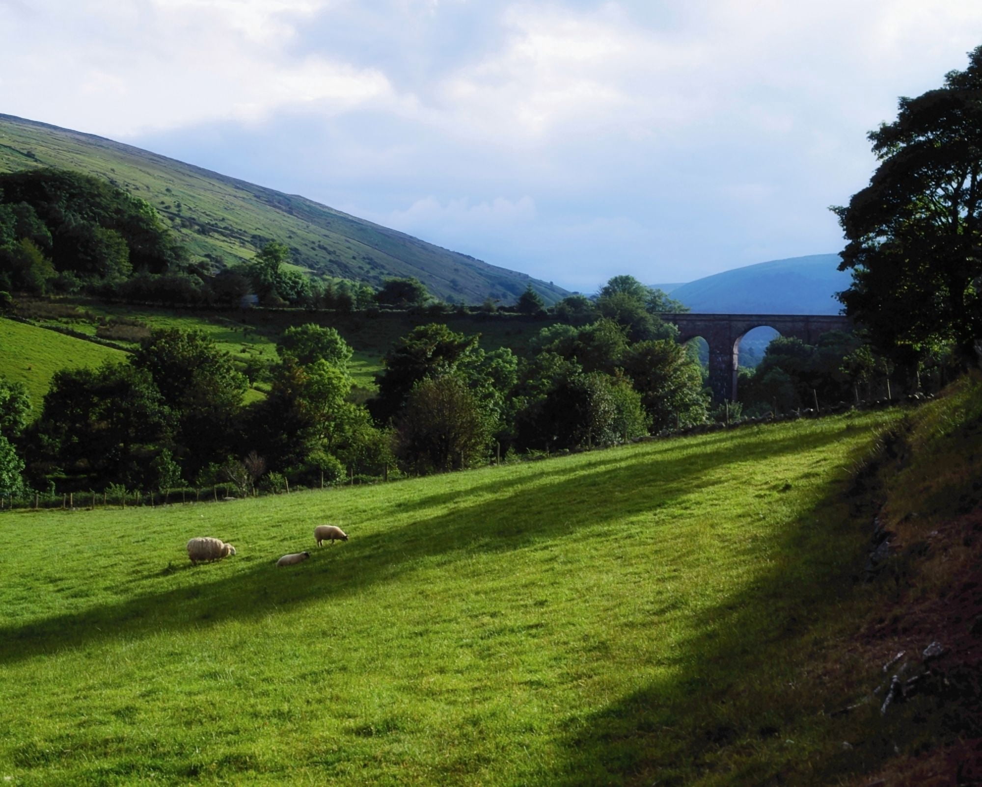 Glendun Glens Of Antrim Co Antrim Ireland One Of The Nine Glens Of Antrim Canvas Art - The Irish Image Collection Design Pics (34 x 26)