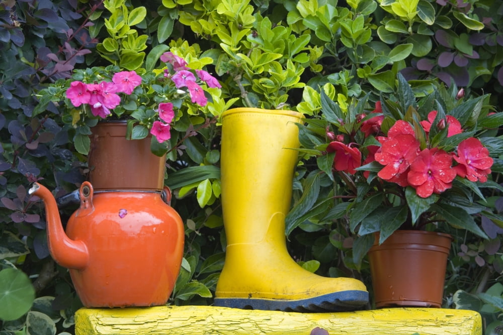 Glengarriff County Cork Ireland Close-Up Of Unique Planters In Garden Canvas Art - Richard Cummins Design Pics (17 x 11)