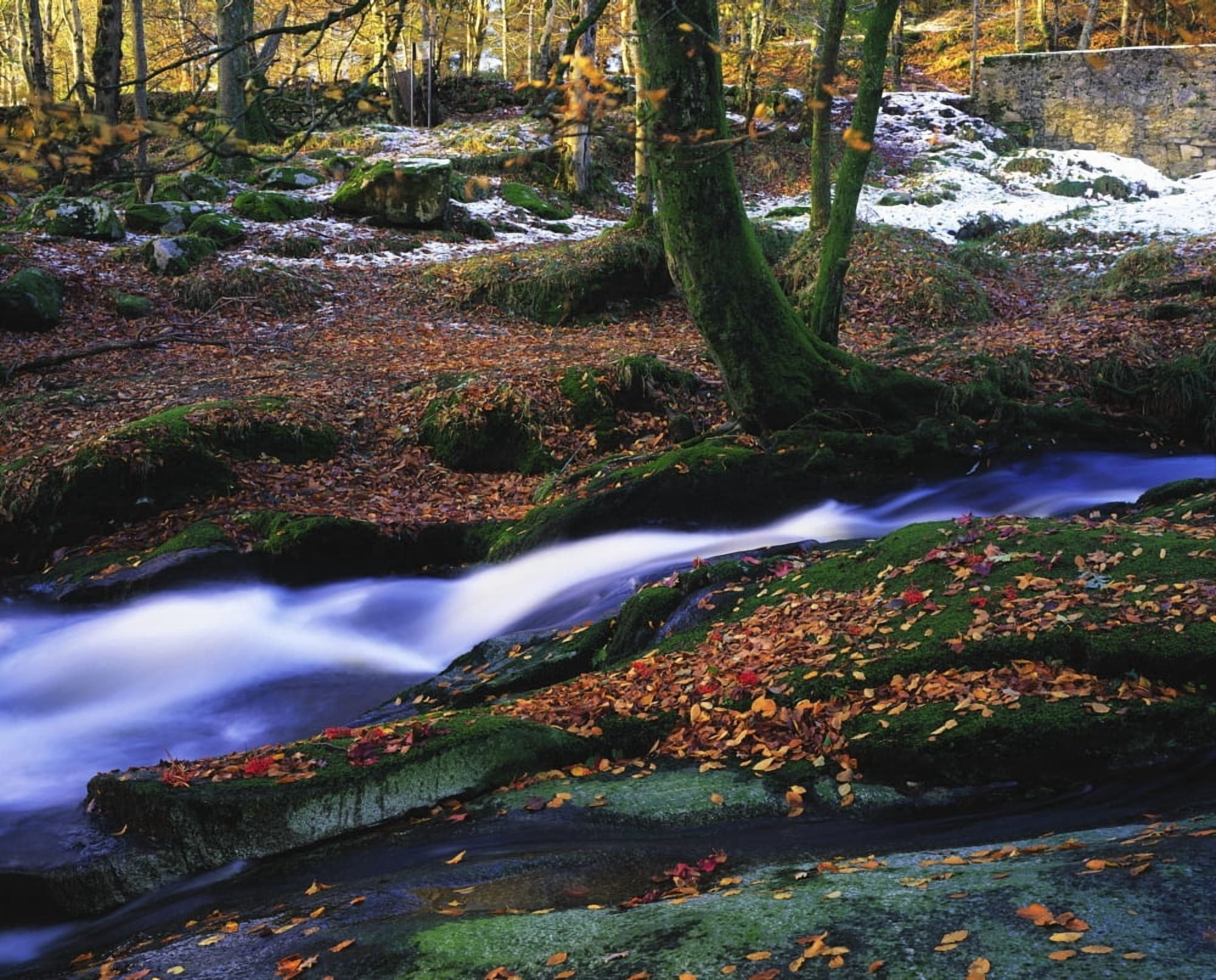 Glenmacnass Waterfall Co Wicklow Ireland Canvas Art - The Irish Image Collection  Design Pics (17 x 13)