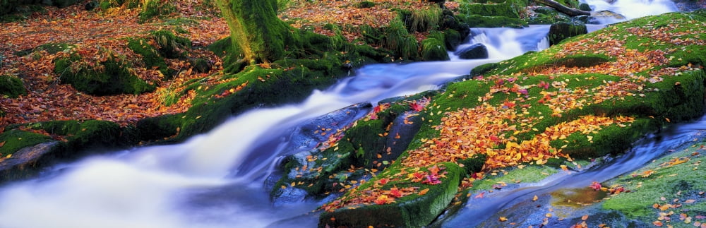 Glenmacnass Waterfall Co Wicklow Ireland Canvas Art - The Irish Image Collection Design Pics (44 x 14)