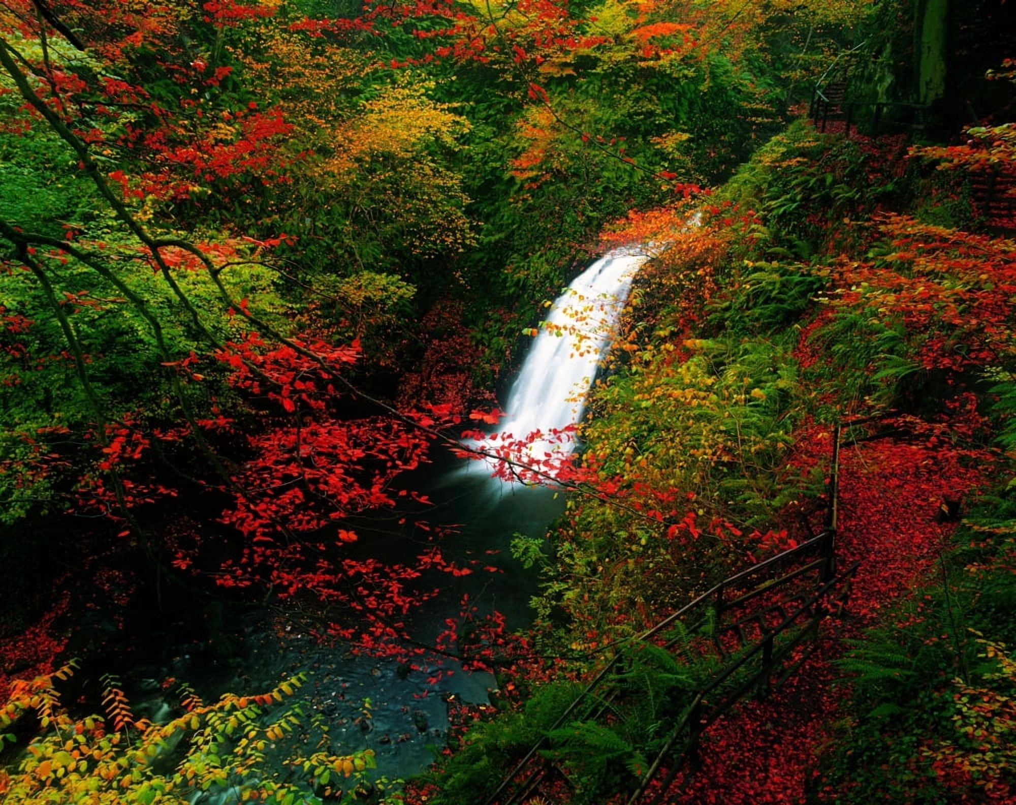 Glenoe Waterfall And Glen Co Antrim Ireland Canvas Art - The Irish Image Collection Design Pics (17 x 13)