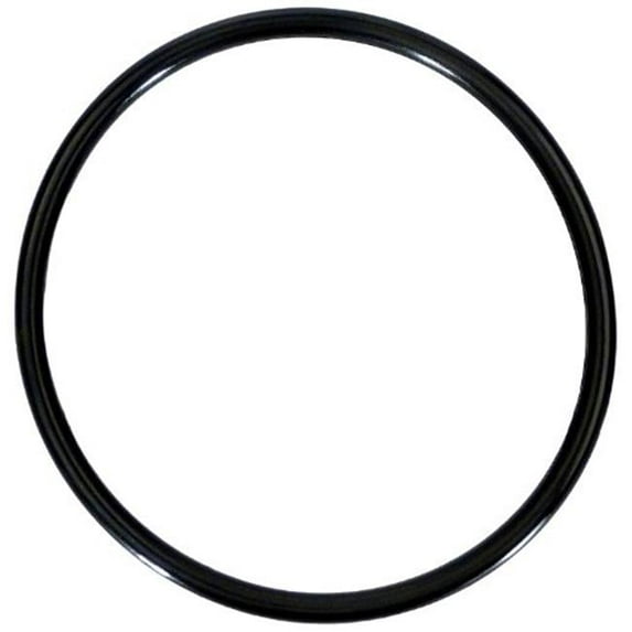 Gli Pool Products 154005 Spacer O-Ring Replacement Triton C-3 Fiberglass Sand Filter