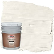 Glidden Fundamentals Exterior Paint Cow's Milk / Off White, Flat, 5 Gallons