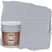 Glidden Fundamentals Exterior Paint Glistening Gray / Grey, Flat, 5 Gallons